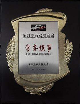 深圳市商业联合会常务理事